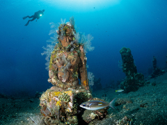 Buddhastatuen im Coralgarden